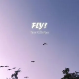 FLY! cover art