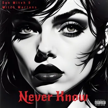 Never Know ft. Mitch Martens cover art