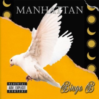 Bingo B