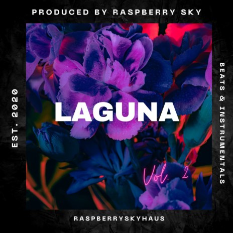 Laguna (Instrumental) cover art