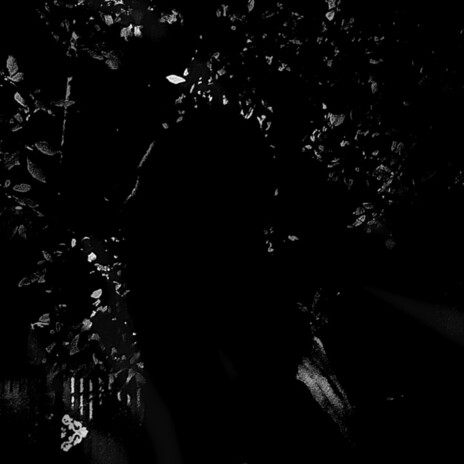 Funeral cover art