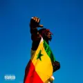 Bouba Diop