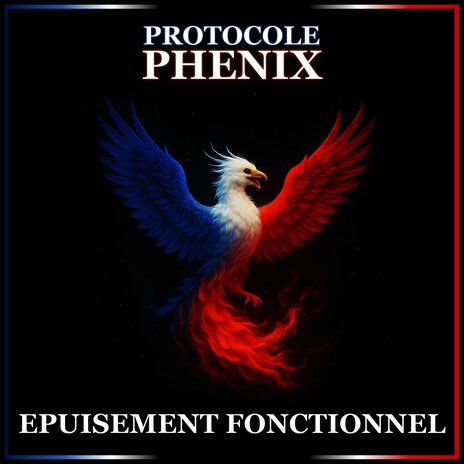 Epuisement fonctionnel cover art