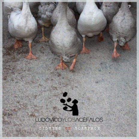 Miau ft. Los Acéfalos cover art