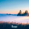 Dream ft. paindur