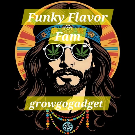 Funky Flavor Fam cover art