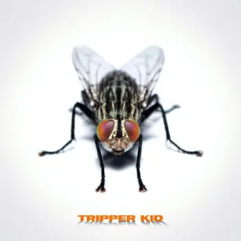 Tripper Kid cover art