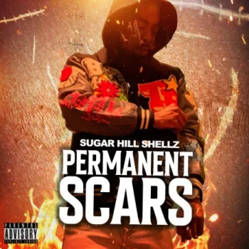 Permanent Scars cover art