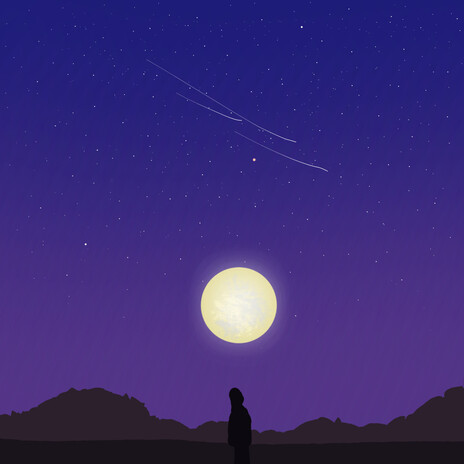 IN THE STARS cover art