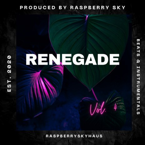 Renegade (Instrumental) cover art