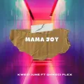 Mama joy ft. Qhweci Flex