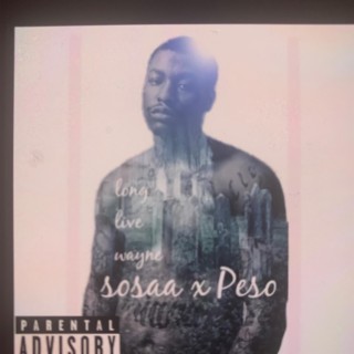 Sosaa
