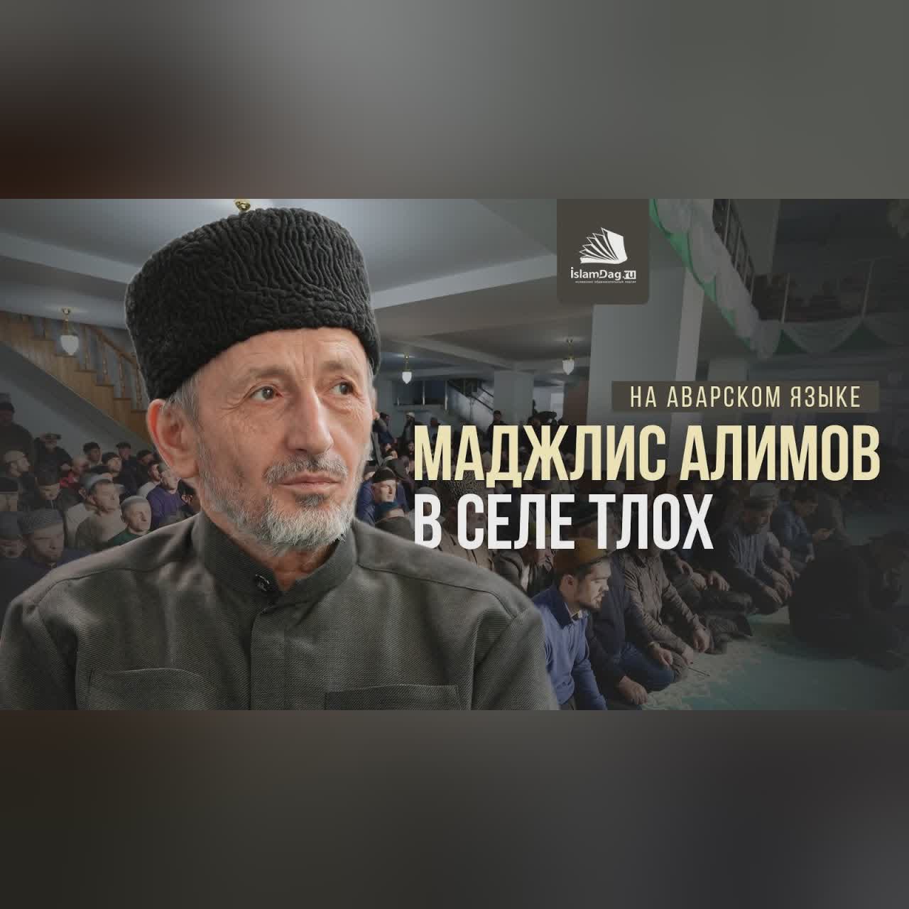 Маджлис алимов в селе Тлох [НА АВАРСКОМ ЯЗЫКЕ] cover art
