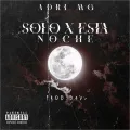 SOLO X ESTA NOCHE