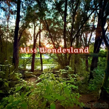 Miss Wonderland cover art