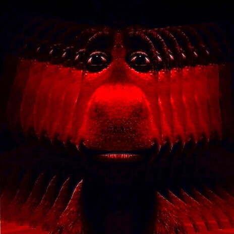 REDARSE cover art
