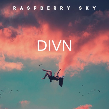 DIVN cover art