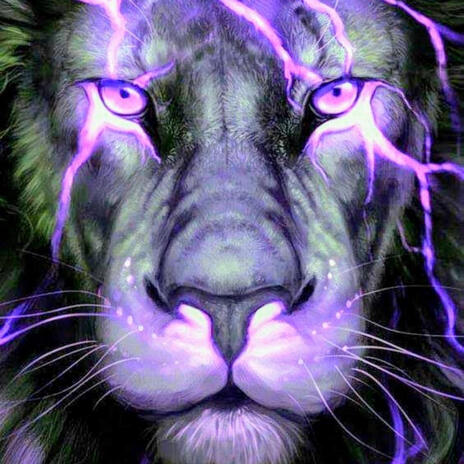 PURPLE WATERFALLS cover art