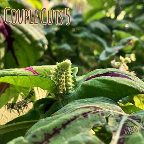bells of lavandula cover art