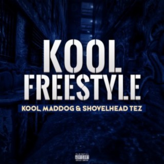 Shovelhead Tez