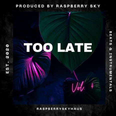Too Late (Instrumental) cover art