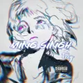 Ming Singh