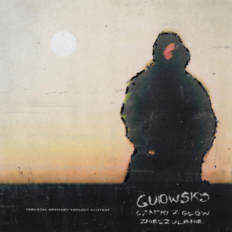 Znieczulenie cover art