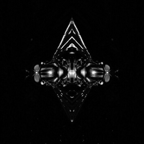 None Ya cover art