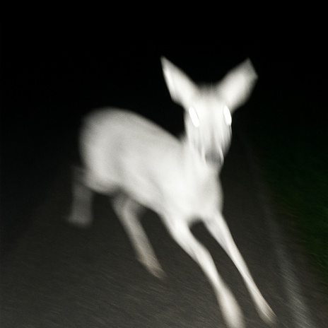 La biche (Sped Up) cover art
