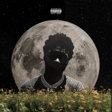 Tinted Windows (Rollin loud) cover art