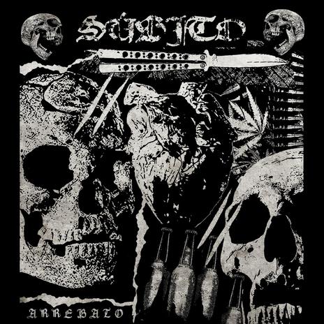 Disciplina de la tormenta cover art