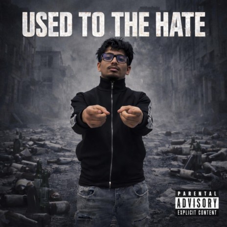 Used To The Hate cover art