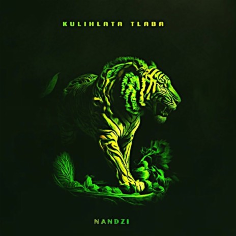 inZondo Interlude cover art