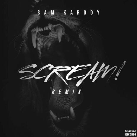 Scream! (Remix) cover art