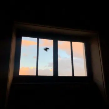 Raphaël cover art