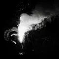 D.O.N