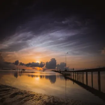 Beach cover art