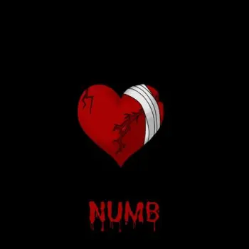 NUMB cover art