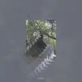 L i G H T