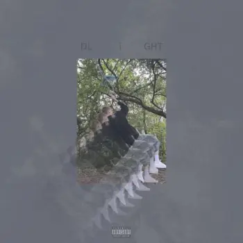 L i G H T cover art