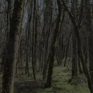 On 31, Pt. 2 cover art