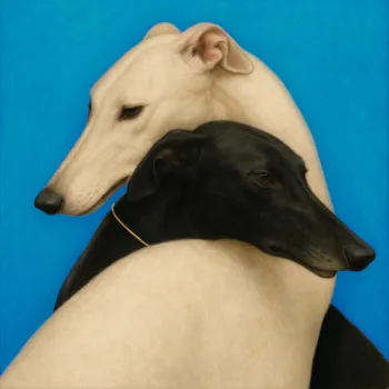Toi & Moi cover art