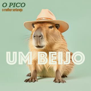 O Pico