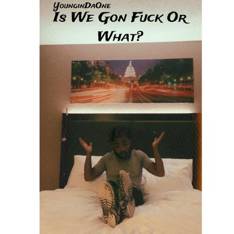 Is We Gon Fuck Or What cover art