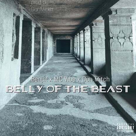 Belly Of The Beast ft. MC Vibe & Benjii! cover art