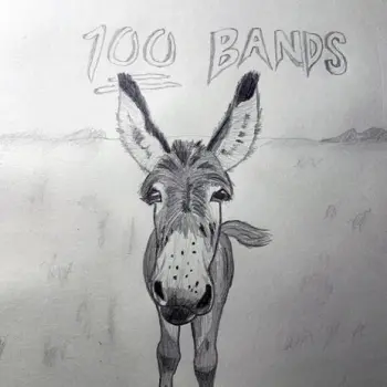 100 Bands cover art