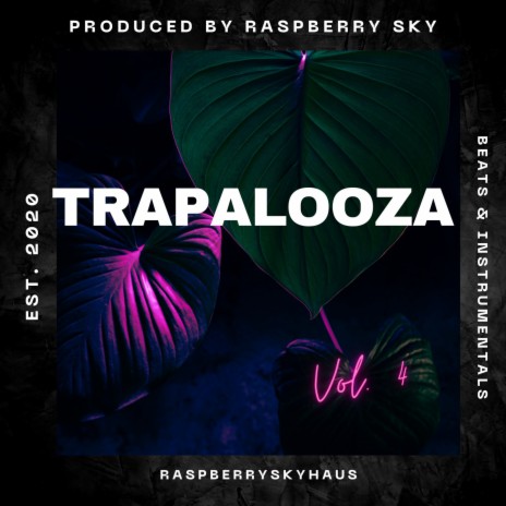 Trapalooza (Instrumental) cover art
