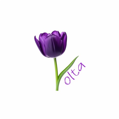Volta