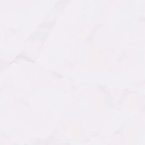 하얀 폭주 cover art