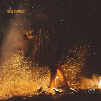 Soul Control cover art
